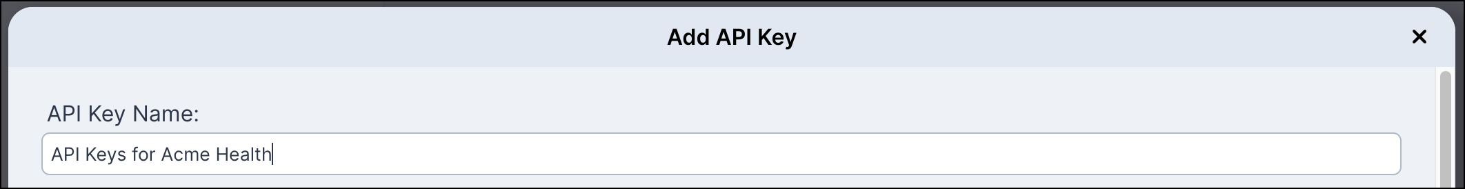 Setting an API key name